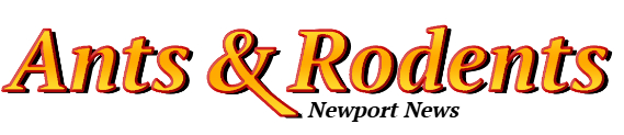 Newport News Ant Exterminator & Rodent Control Company Logo